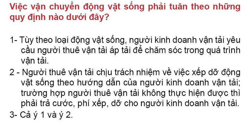 Nội dung câu hỏi thi bằng lái xe số 184