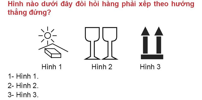 Nội dung câu hỏi thi bằng lái xe số 191