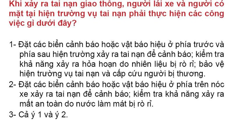 Nội dung câu hỏi thi bằng lái xe số 206