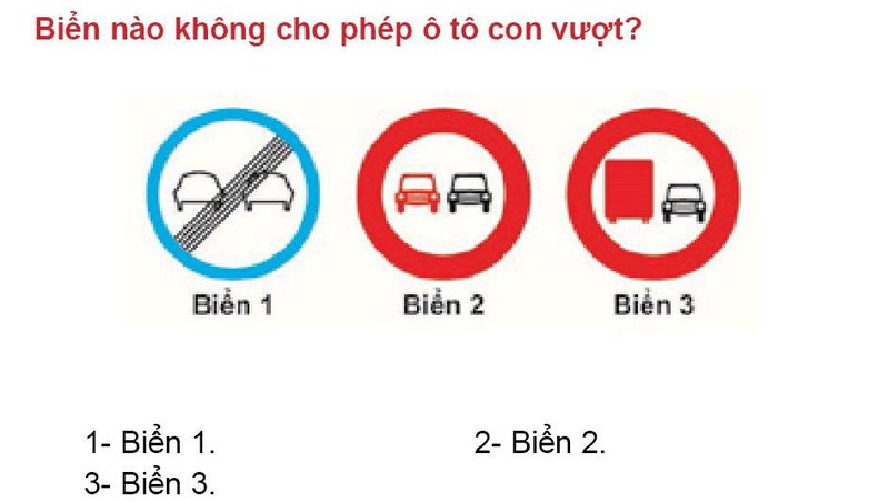 Nội dung câu hỏi thi bằng lái xe số 313