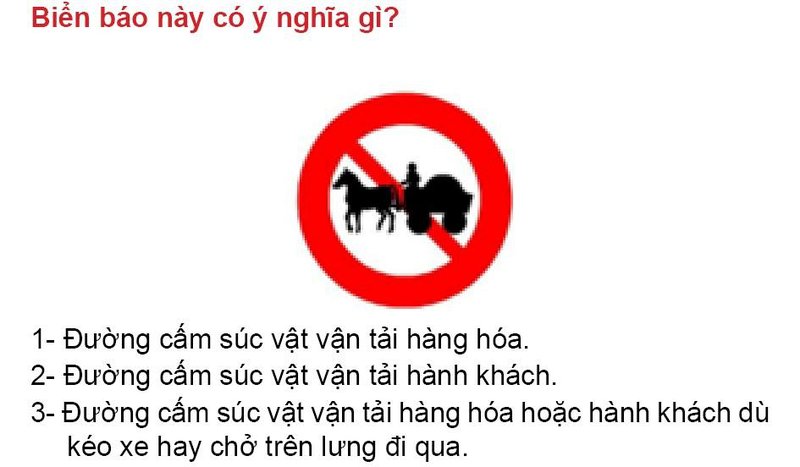 Nội dung câu hỏi thi bằng lái xe số 338