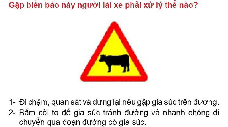 Nội dung câu hỏi thi bằng lái xe số 428