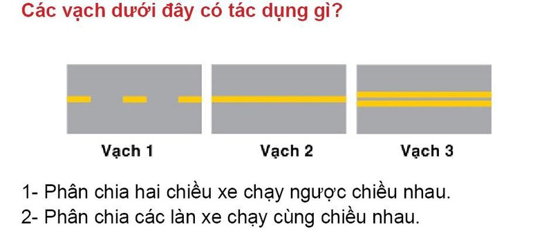 Nội dung câu hỏi thi bằng lái xe số 481